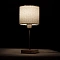 Декоративная настольная лампа Arte Lamp CHARLIE A5071LT-1SS
