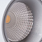Спот Arte Lamp ORIONE A7717PL-1GY