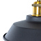 Подвесной светильник Arte Lamp CAPPELLO A7038SP-1BK