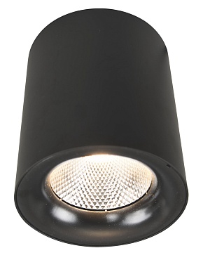 Точечный накладной светильник Arte Lamp FACILE A5118PL-1BK