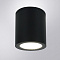 Уличный потолочный светильник Arte Lamp TORCULAR A1813PF-1BK