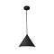 Подвесной светильник Arte Lamp LARK A7103SP-1BK