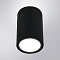 Уличный потолочный светильник Arte Lamp TORCULAR A1307PF-1BK