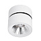 Спот Divinare URCHIN 1295/03 PL-1
