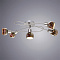Потолочная люстра Arte Lamp ILLUSIONE A6125PL-5SS