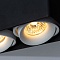 Точечный накладной светильник Arte Lamp PICTOR A5654PL-2BK