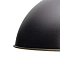 Подвесной светильник Arte Lamp CARMEL A7105SP-1BK