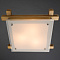 Потолочный светильник Arte Lamp ARCHIMEDE A6460PL-3BR