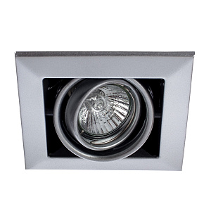 Карданный светильник Arte Lamp CARDANI PICCOLO A5941PL-1SI