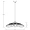 Подвесной светильник Arte Lamp WOODSTOCK A7061SP-1BK