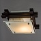 Потолочный светильник Arte Lamp ARCHIMEDE A6462PL-1CK