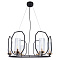 Подвесная люстра Arte Lamp CELAENO A7004SP-6BK