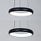 Подвесная люстра Arte Lamp ALGEDI A6028SP-46BK