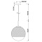 Подвесной светильник Arte Lamp JUPITER chrome A7963SP-1CC
