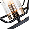 Подвесная люстра Arte Lamp CELAENO A7004SP-6BK