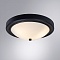 Потолочный светильник Arte Lamp JAMES A4049PL-3BK