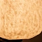 Бра Divinare NEBULA 1572/05 AP-7