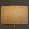 Торшер Arte Lamp CHARLIE A5071PN-1SS