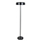 Торшер Arte Lamp SKAT A7052PN-2BK