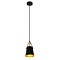 Подвесной светильник Arte Lamp THOMAS A7032SP-1BK