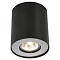 Точечный накладной светильник Arte Lamp FALCON A5633PL-1BK