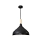 Подвесной светильник Arte Lamp KAYLA A7101SP-1BK