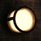 Уличный потолочный светильник Arte Lamp ULYSSES A6206PF-1BK