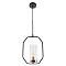 Подвесной светильник Arte Lamp CELAENO A7004SP-1BK