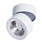 Спот Divinare URCHIN 1295/03 PL-1