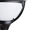 Ландшафтный светильник Arte Lamp MONACO A1496PA-1BK