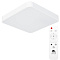 Потолочный светильник Arte Lamp SCENA A2663PL-1WH