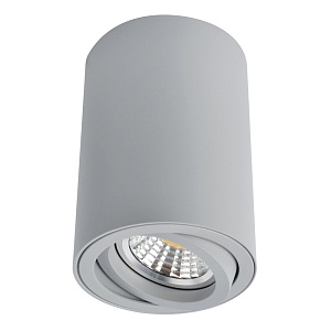Точечный накладной светильник Arte Lamp SENTRY A1560PL-1GY