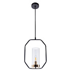 Светильник Arte Lamp ORNELLA A7004SP-1BK