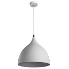 Светильник Arte Lamp CICLONE A9155SP-1WH