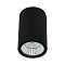 Уличный потолочный светильник Arte Lamp TORCULAR A1807PF-1BK