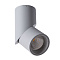 Спот Arte Lamp ORIONE A7717PL-1GY