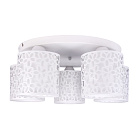 Потолочная люстра Arte Lamp TRAFORATO A8349PL-5WH