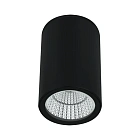 Уличный потолочный светильник Arte Lamp TORCULAR A1307PF-1BK