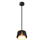 Подвесной светильник Arte Lamp AMAKS A8028SP-1BK