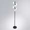 Торшер Arte Lamp GEMINI A2243PN-6BK