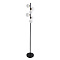 Торшер Arte Lamp GEMINI A2243PN-6BK